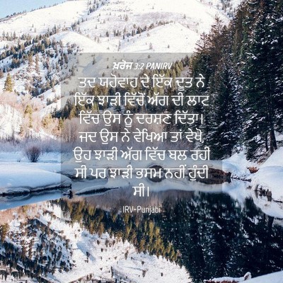 Picture 04 - ਖ਼ਰੋਜ 3:2 PANIRV - ਤਦ ਯਹੋਵਾਹ ਦੇ ਇੱਕ - Bible Verse Picture