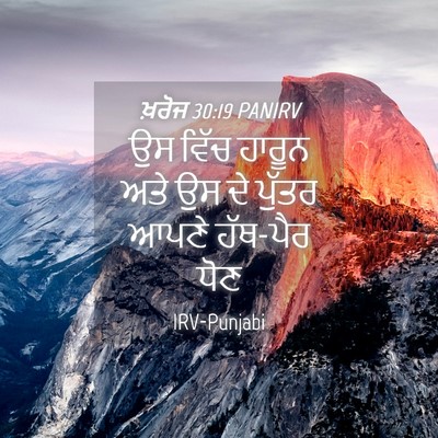 Picture 04 - ਖ਼ਰੋਜ 30:19 PANIRV - ਉਸ ਵਿੱਚ ਹਾਰੂਨ ਅਤੇ - Bible Verse Picture