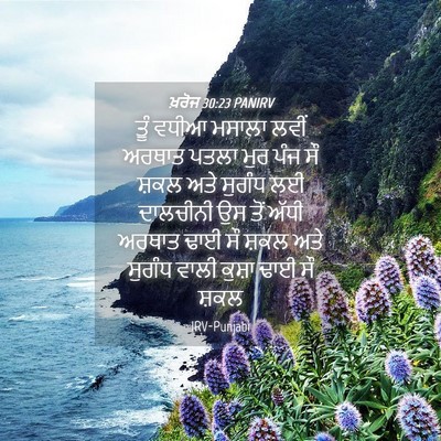 Picture 04 - ਖ਼ਰੋਜ 30:23 PANIRV - ਤੂੰ ਵਧੀਆ ਮਸਾਲਾ - Bible Verse Picture