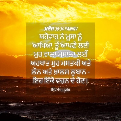 Picture 04 - ਖ਼ਰੋਜ 30:34 PANIRV - ਯਹੋਵਾਹ ਨੇ ਮੂਸਾ ਨੂੰ - Bible Verse Picture