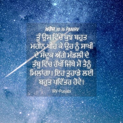 Picture 04 - ਖ਼ਰੋਜ 30:36 PANIRV - ਤੂੰ ਉਸ ਵਿੱਚੋਂ ਕੁਝ - Bible Verse Picture