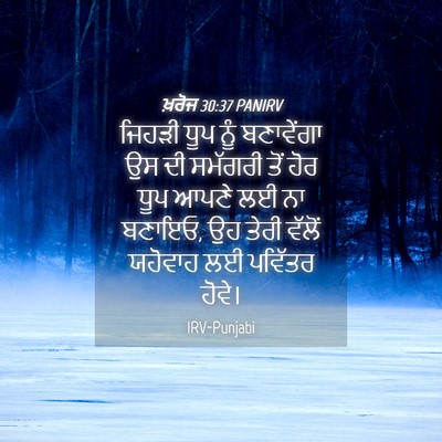 Picture 04 - ਖ਼ਰੋਜ 30:37 PANIRV - ਜਿਹੜੀ ਧੂਪ ਨੂੰ - Bible Verse Picture