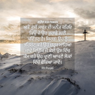 Picture 04 - ਖ਼ਰੋਜ 31:14 PANIRV - ਅਤੇ ਤੁਸੀਂ ਸਬਤ ਦੀ - Bible Verse Picture