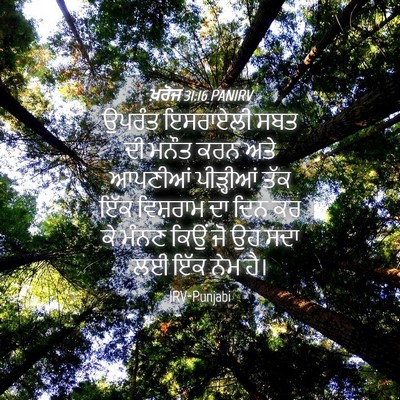 Picture 04 - ਖ਼ਰੋਜ 31:16 PANIRV - ਉਪਰੰਤ ਇਸਰਾਏਲੀ ਸਬਤ - Bible Verse Picture