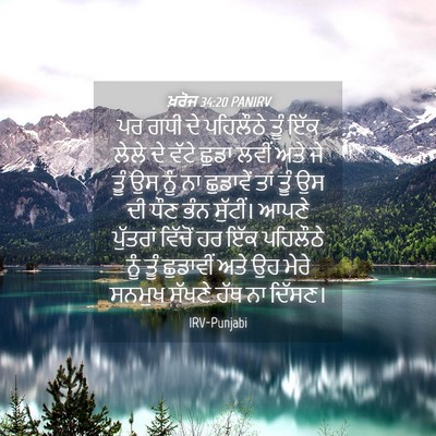 Picture 04 - ਖ਼ਰੋਜ 34:20 PANIRV - ਪਰ ਗਧੀ ਦੇ ਪਹਿਲੌਠੇ - Bible Verse Picture