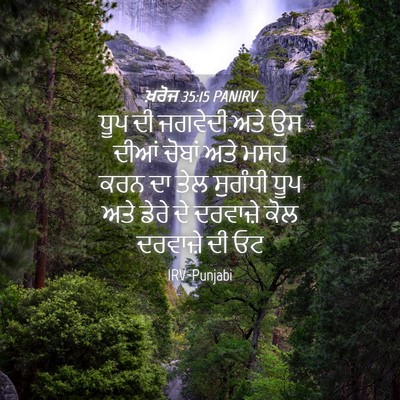 Picture 04 - ਖ਼ਰੋਜ 35:15 PANIRV - ਧੂਪ ਦੀ ਜਗਵੇਦੀ ਅਤੇ - Bible Verse Picture