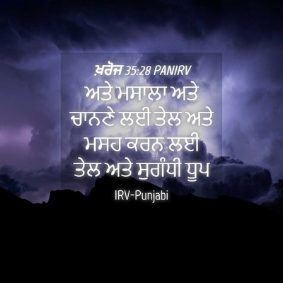 Picture 04 - ਖ਼ਰੋਜ 35:28 PANIRV - ਅਤੇ ਮਸਾਲਾ ਅਤੇ - Bible Verse Picture