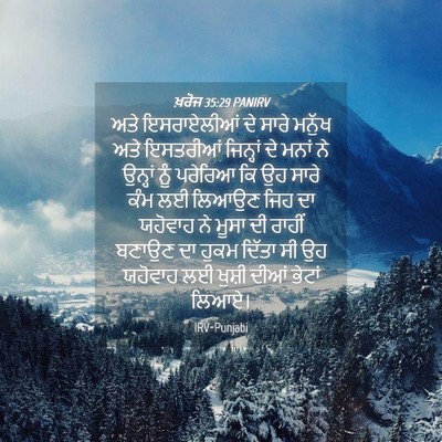 Picture 04 - ਖ਼ਰੋਜ 35:29 PANIRV - ਅਤੇ ਇਸਰਾਏਲੀਆਂ ਦੇ - Bible Verse Picture