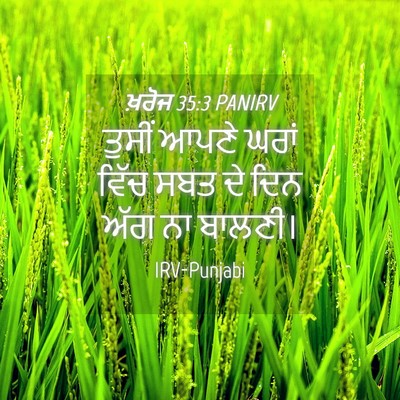 Picture 04 - ਖ਼ਰੋਜ 35:3 PANIRV - ਤੁਸੀਂ ਆਪਣੇ ਘਰਾਂ - Bible Verse Picture