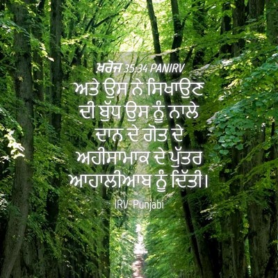 Picture 04 - ਖ਼ਰੋਜ 35:34 PANIRV - ਅਤੇ ਉਸ ਨੇ ਸਿਖਾਉਣ ਦੀ - Bible Verse Picture