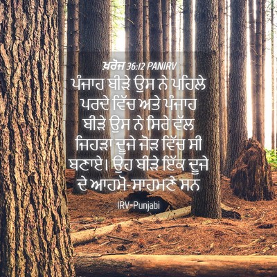 Picture 04 - ਖ਼ਰੋਜ 36:12 PANIRV - ਪੰਜਾਹ ਬੀੜੇ ਉਸ ਨੇ - Bible Verse Picture