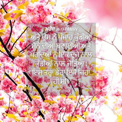 Picture 04 - ਖ਼ਰੋਜ 36:13 PANIRV - ਅਤੇ ਉਸ ਨੇ ਪੰਜਾਹ - Bible Verse Picture