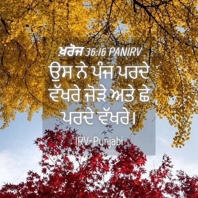 Picture 04 - ਖ਼ਰੋਜ 36:16 PANIRV - ਉਸ ਨੇ ਪੰਜ ਪਰਦੇ - Bible Verse Picture