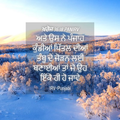 Picture 04 - ਖ਼ਰੋਜ 36:18 PANIRV - ਅਤੇ ਉਸ ਨੇ ਪੰਜਾਹ - Bible Verse Picture