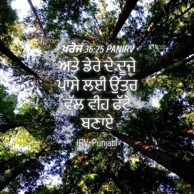 Picture 04 - ਖ਼ਰੋਜ 36:25 PANIRV - ਅਤੇ ਡੇਰੇ ਦੇ ਦੂਜੇ - Bible Verse Picture