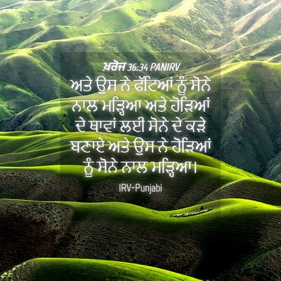 Picture 04 - ਖ਼ਰੋਜ 36:34 PANIRV - ਅਤੇ ਉਸ ਨੇ ਫੱਟਿਆਂ - Bible Verse Picture
