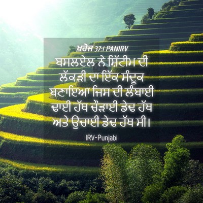 Picture 04 - ਖ਼ਰੋਜ 37:1 PANIRV - ਬਸਲਏਲ ਨੇ ਸ਼ਿੱਟੀਮ - Bible Verse Picture