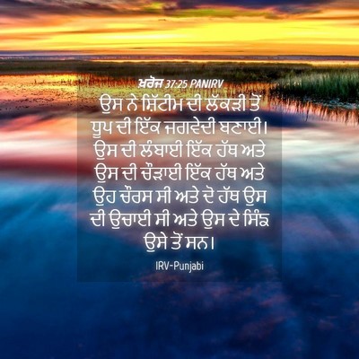 Picture 04 - ਖ਼ਰੋਜ 37:25 PANIRV - ਉਸ ਨੇ ਸ਼ਿੱਟੀਮ ਦੀ - Bible Verse Picture
