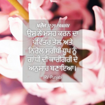 Picture 04 - ਖ਼ਰੋਜ 37:29 PANIRV - ਉਸ ਨੇ ਮਸਹ ਕਰਨ ਦਾ - Bible Verse Picture
