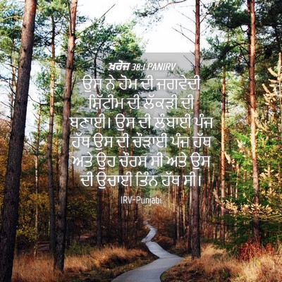 Picture 04 - ਖ਼ਰੋਜ 38:1 PANIRV - ਉਸ ਨੇ ਹੋਮ ਦੀ ਜਗਵੇਦੀ - Bible Verse Picture