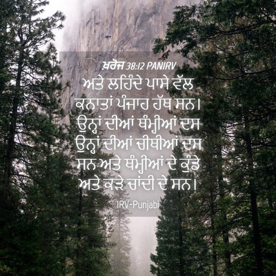 Picture 04 - ਖ਼ਰੋਜ 38:12 PANIRV - ਅਤੇ ਲਹਿੰਦੇ ਪਾਸੇ - Bible Verse Picture