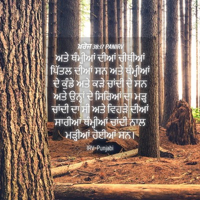 Picture 04 - ਖ਼ਰੋਜ 38:17 PANIRV - ਅਤੇ ਥੰਮ੍ਹੀਆਂ ਦੀਆਂ - Bible Verse Picture