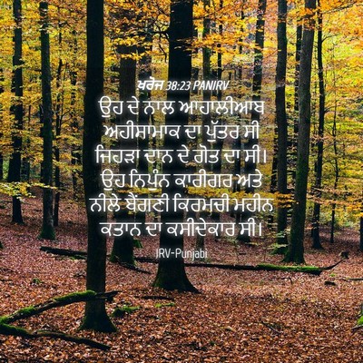 Picture 04 - ਖ਼ਰੋਜ 38:23 PANIRV - ਉਹ ਦੇ ਨਾਲ ਆਹਾਲੀਆਬ - Bible Verse Picture