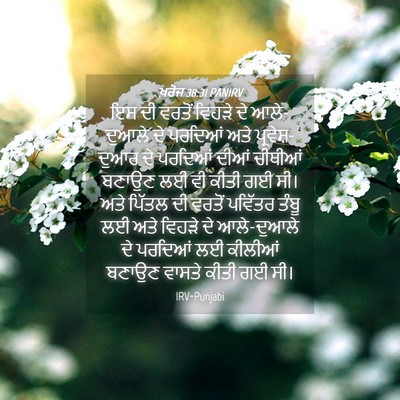 Picture 04 - ਖ਼ਰੋਜ 38:31 PANIRV - ਇਸ ਦੀ ਵਰਤੋਂ ਵਿਹੜੇ - Bible Verse Picture