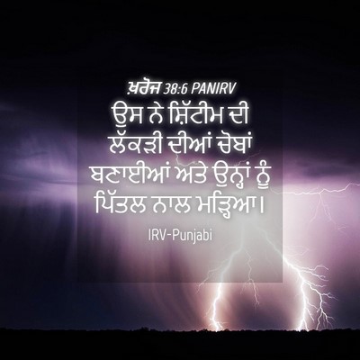 Picture 04 - ਖ਼ਰੋਜ 38:6 PANIRV - ਉਸ ਨੇ ਸ਼ਿੱਟੀਮ ਦੀ - Bible Verse Picture