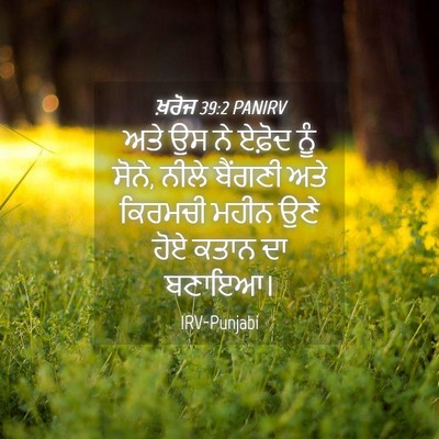 Picture 04 - ਖ਼ਰੋਜ 39:2 PANIRV - ਅਤੇ ਉਸ ਨੇ ਏਫ਼ੋਦ ਨੂੰ - Bible Verse Picture