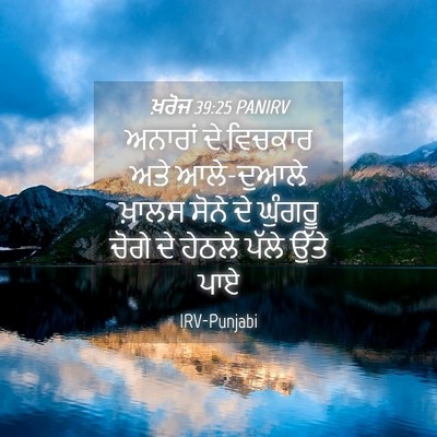 Picture 04 - ਖ਼ਰੋਜ 39:25 PANIRV - ਅਨਾਰਾਂ ਦੇ ਵਿਚਕਾਰ - Bible Verse Picture