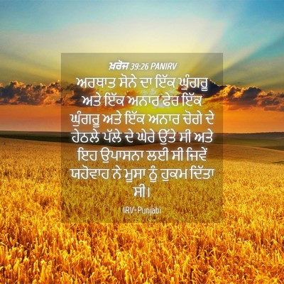 Picture 04 - ਖ਼ਰੋਜ 39:26 PANIRV - ਅਰਥਾਤ ਸੋਨੇ ਦਾ ਇੱਕ - Bible Verse Picture