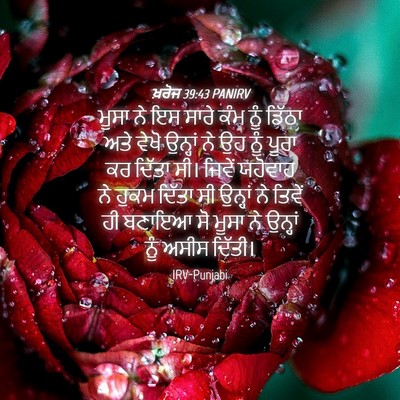 Picture 04 - ਖ਼ਰੋਜ 39:43 PANIRV - ਮੂਸਾ ਨੇ ਇਸ ਸਾਰੇ ਕੰਮ - Bible Verse Picture