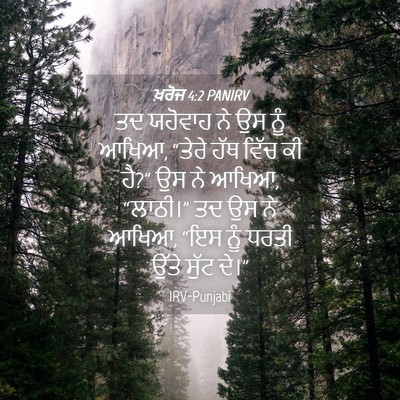 Picture 04 - ਖ਼ਰੋਜ 4:2 PANIRV - ਤਦ ਯਹੋਵਾਹ ਨੇ ਉਸ ਨੂੰ - Bible Verse Picture