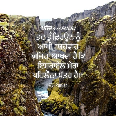 Picture 04 - ਖ਼ਰੋਜ 4:22 PANIRV - ਤਦ ਤੂੰ ਫ਼ਿਰਊਨ ਨੂੰ - Bible Verse Picture