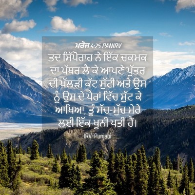 Picture 04 - ਖ਼ਰੋਜ 4:25 PANIRV - ਤਦ ਸਿੱਪੋਰਾਹ ਨੇ ਇੱਕ - Bible Verse Picture
