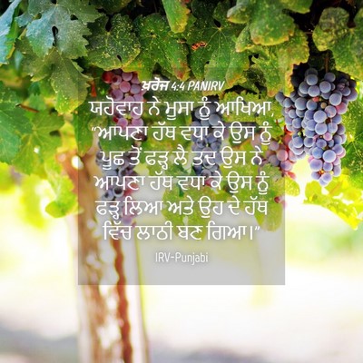 Picture 04 - ਖ਼ਰੋਜ 4:4 PANIRV - ਯਹੋਵਾਹ ਨੇ ਮੂਸਾ ਨੂੰ - Bible Verse Picture