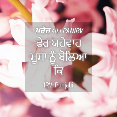 Picture 04 - ਖ਼ਰੋਜ 40:1 PANIRV - ਫੇਰ ਯਹੋਵਾਹ ਮੂਸਾ - Bible Verse Picture