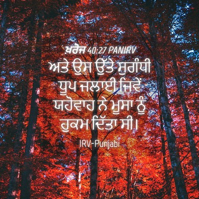 Picture 04 - ਖ਼ਰੋਜ 40:27 PANIRV - ਅਤੇ ਉਸ ਉੱਤੇ ਸੁਗੰਧੀ - Bible Verse Picture