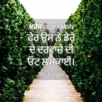 Picture 04 - ਖ਼ਰੋਜ 40:28 PANIRV - ਫੇਰ ਉਸ ਨੇ ਡੇਰੇ ਦੇ - Bible Verse Picture