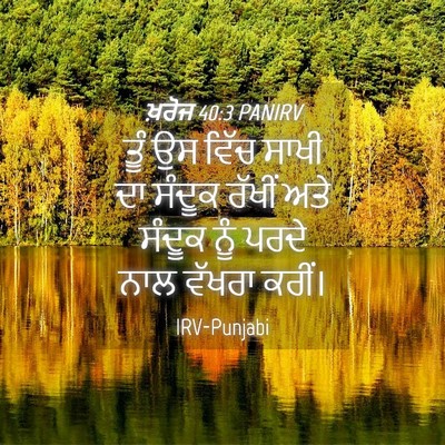 Picture 04 - ਖ਼ਰੋਜ 40:3 PANIRV - ਤੂੰ ਉਸ ਵਿੱਚ ਸਾਖੀ ਦਾ - Bible Verse Picture