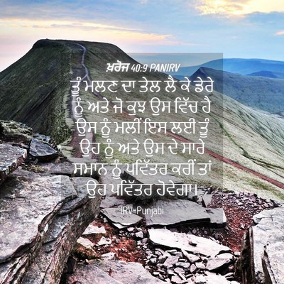 Picture 04 - ਖ਼ਰੋਜ 40:9 PANIRV - ਤੂੰ ਮਲਣ ਦਾ ਤੇਲ ਲੈ - Bible Verse Picture