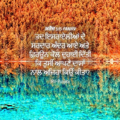 Picture 04 - ਖ਼ਰੋਜ 5:15 PANIRV - ਤਦ ਇਸਰਾਏਲੀਆਂ ਦੇ - Bible Verse Picture