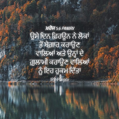 Picture 04 - ਖ਼ਰੋਜ 5:6 PANIRV - ਉਸੇ ਦਿਨ ਫ਼ਿਰਊਨ ਨੇ - Bible Verse Picture