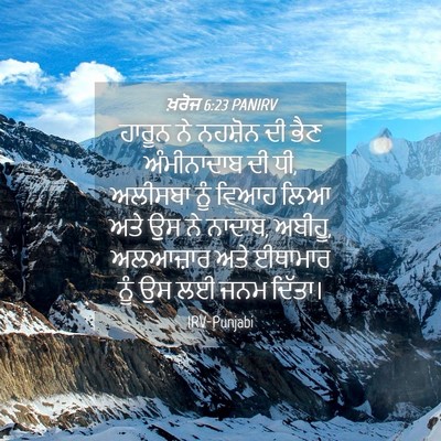 Picture 04 - ਖ਼ਰੋਜ 6:23 PANIRV - ਹਾਰੂਨ ਨੇ ਨਹਸ਼ੋਨ ਦੀ - Bible Verse Picture