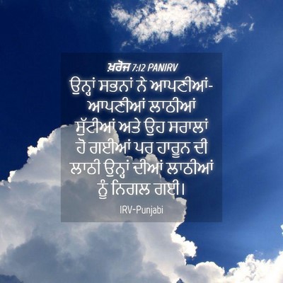 Picture 04 - ਖ਼ਰੋਜ 7:12 PANIRV - ਉਨ੍ਹਾਂ ਸਭਨਾਂ ਨੇ - Bible Verse Picture