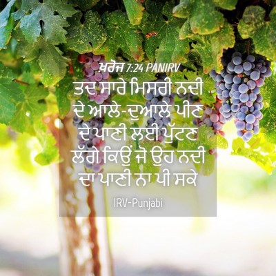 Picture 04 - ਖ਼ਰੋਜ 7:24 PANIRV - ਤਦ ਸਾਰੇ ਮਿਸਰੀ ਨਦੀ - Bible Verse Picture