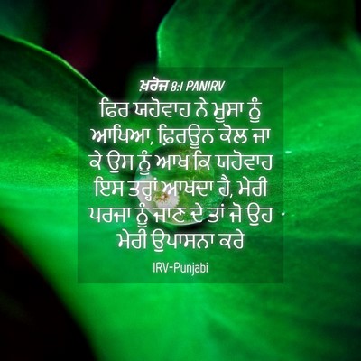 Picture 04 - ਖ਼ਰੋਜ 8:1 PANIRV - ਫਿਰ ਯਹੋਵਾਹ ਨੇ ਮੂਸਾ - Bible Verse Picture