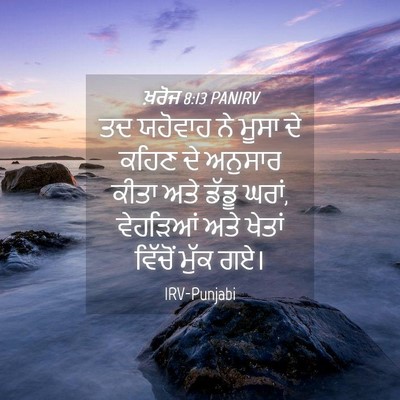 Picture 04 - ਖ਼ਰੋਜ 8:13 PANIRV - ਤਦ ਯਹੋਵਾਹ ਨੇ ਮੂਸਾ - Bible Verse Picture