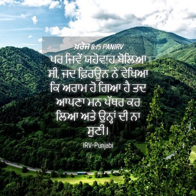 Picture 04 - ਖ਼ਰੋਜ 8:15 PANIRV - ਪਰ ਜਿਵੇਂ ਯਹੋਵਾਹ - Bible Verse Picture